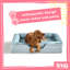 Snug Orthopaedic Pet Bed-98240145-108806511