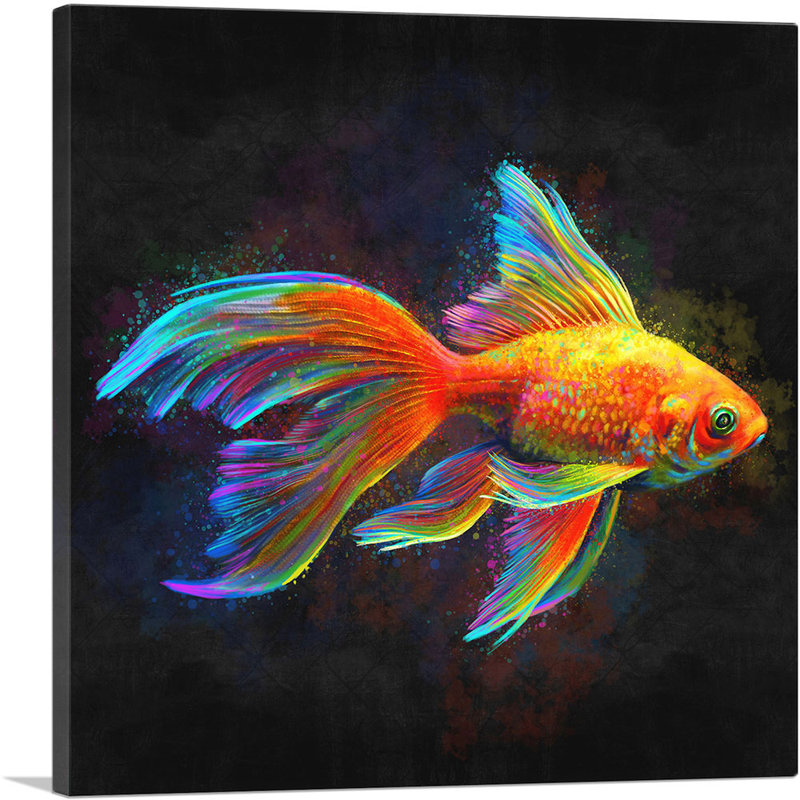 Goldfish Freshwater Aquarium Fish - impression sur toile tendue, H 12 po x l 12 po x P 1,5 po