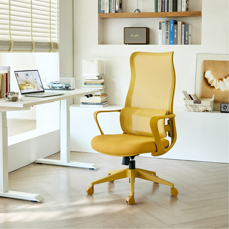 Fauteuil de bureau ergonomique et coloré 350Lbs Home Office Mesh