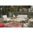  Arikka Eucalyptus Outdoor Lounge Chair