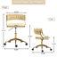 Ginko Task Chair-193844670