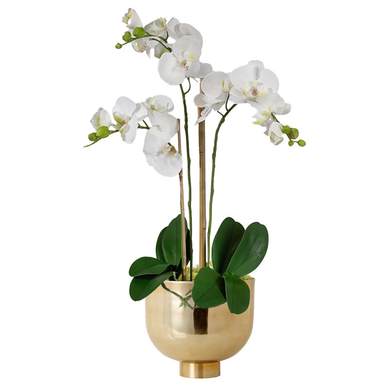Orchidée artificielle dans un vase, Blanc