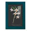 Orchidée sur ardoise IV - reproduction d'un seul cadre photo-1011406684-1011406682