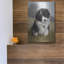 «Border Collie Puppy» par John Silver-1122714860