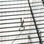 Cage à oiseau 45 po