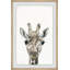 «Cheeky Giraffe» par Sarahbella, reproduction d'art sur papier-1671643177