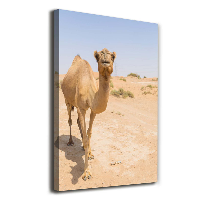 Camel In The Desert - Wrapped Canvas Print