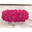 Centre de table Modern Touch-876520269