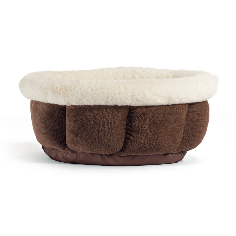 Traversin orthopédique Ilan, Petit - L 9 po x l 17 po, Chocolat noir