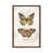 Classic Brown Wood Framed