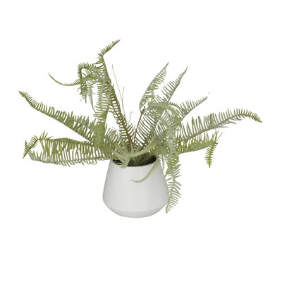 13.5'' Faux Fern Plant in Ceramic Vase
