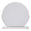 Mondel Metal Flat Floor Mirror