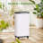 50 Pints Dehumidifier for Rooms up to 2500 Cubic Feet