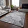 Premium Machine Washable Cerrito AMF517 Gray Rug