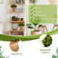 11 plantes