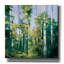 "Epic Graffiti" Birches "par Julia Purinton, art mural sur toile-106172358