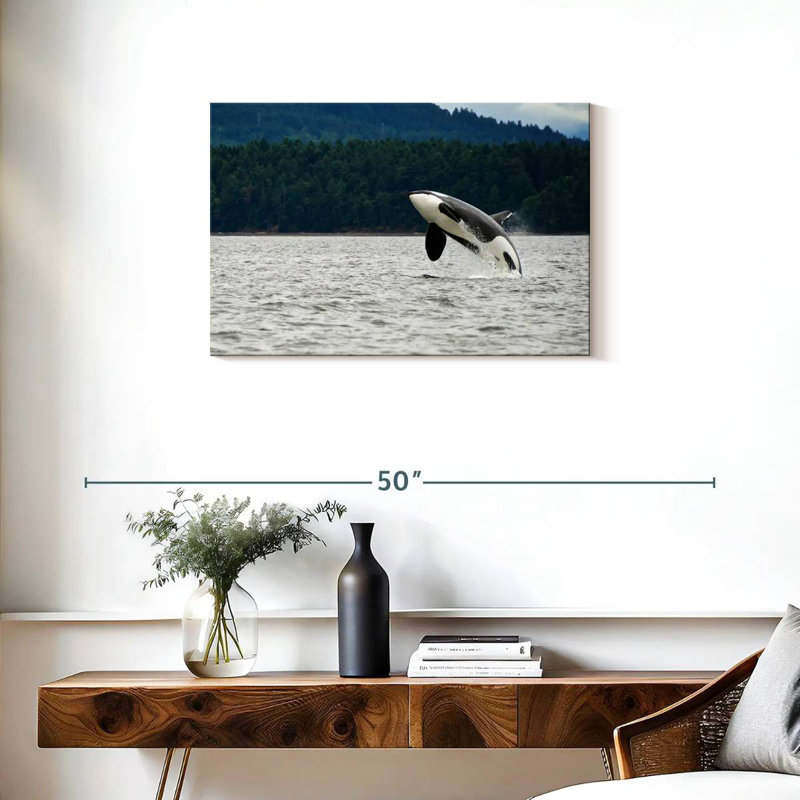 Crowle Orca Jumping, 20" H x 30" W