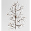 Lustre bourgeonnant Winter Solstice