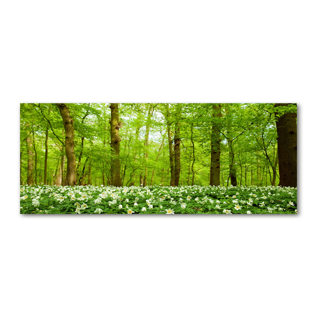 Blumen im Wald - Kunstdrucke auf Segeltuch