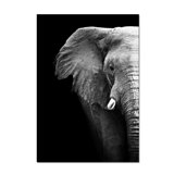 Elephant Profile Print