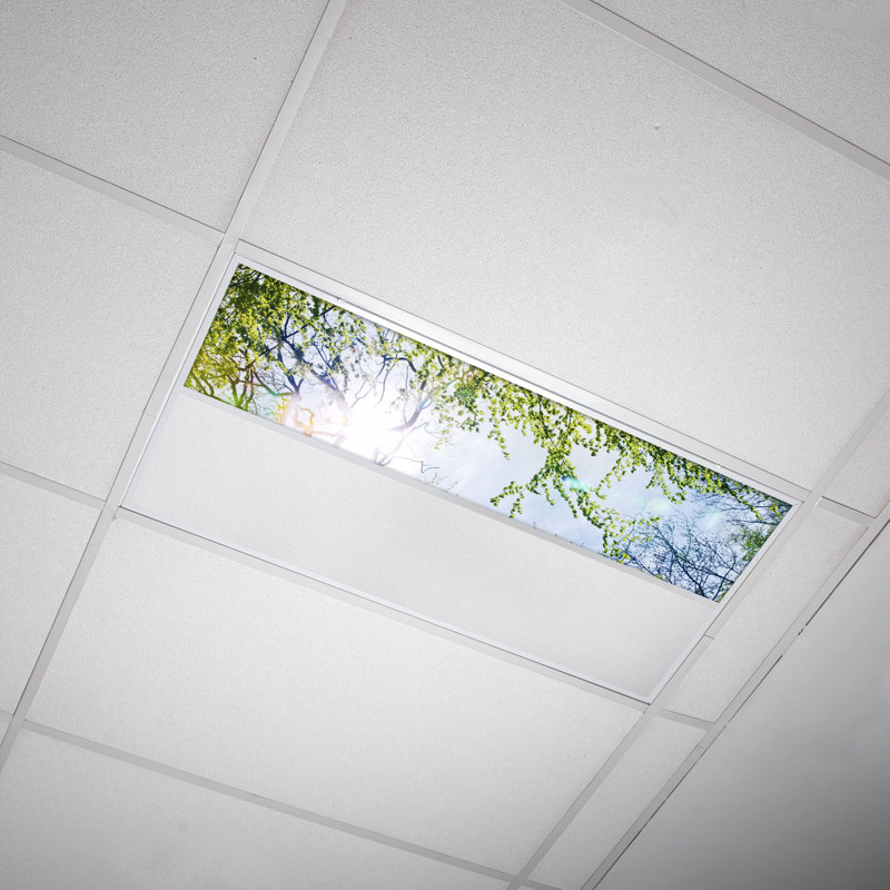 Tree Rectangle Fixture Component Ceiling Light