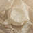 Stefani Floral Lace Fabric Tablecloth, Lace Fabric Table Cloth for Small Rectangle Tables, Wrinkle Resistant Tablecloth, Patterned Scalloped Tablecloth ()-746168646-746168643