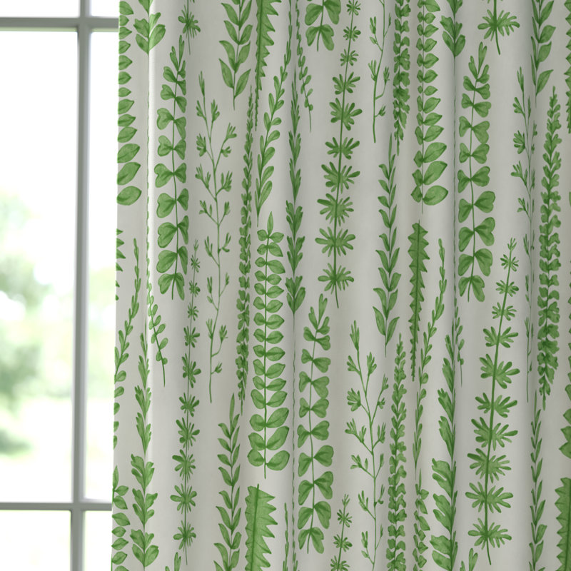 Ferns - Juniper