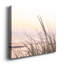 Cape Dune Morning - photographie sur toile tendue-1522405740