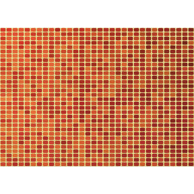 Indoor Rug