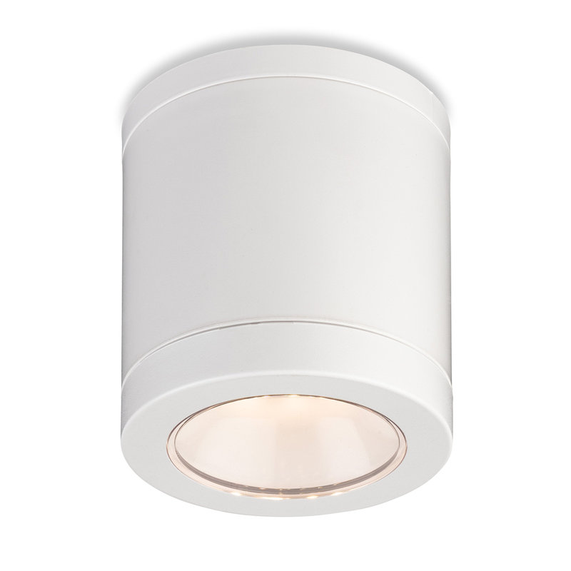 LED Spotlight, White