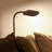 Litespan Slim 55 in. Industrial Dimmable LED Directional Task Floor Lamp-62954093