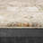 Oriental Indoor Rug-230255389