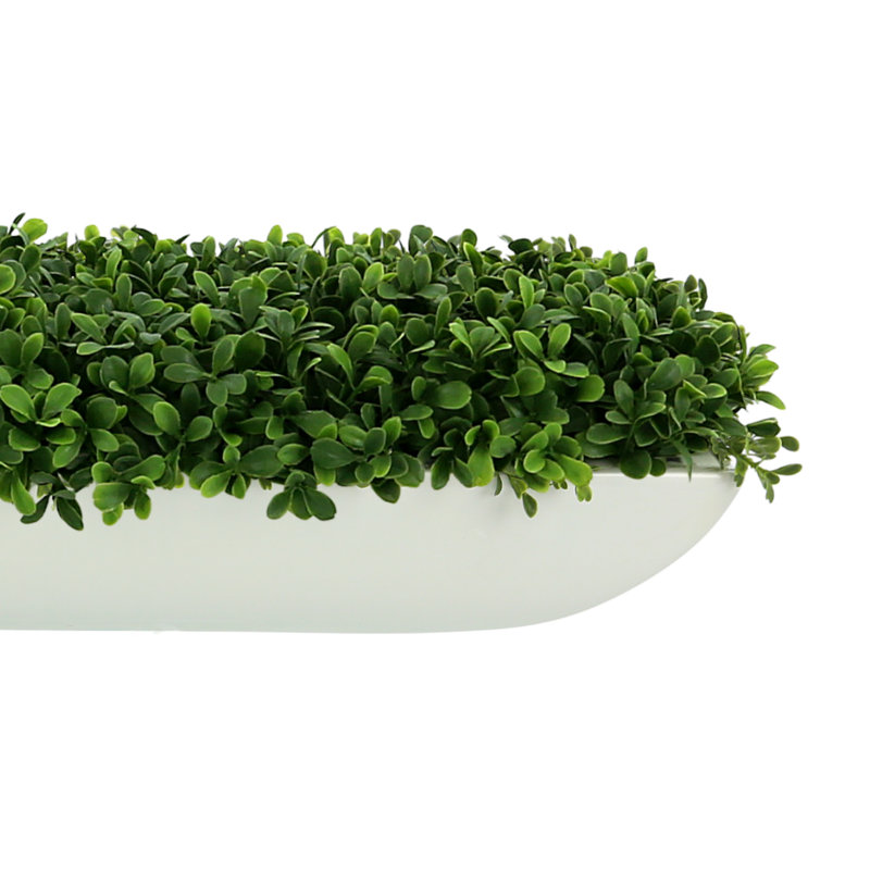 UV Rated Outdoor Boxwood Arrangement, 7" H x 26" W x 11" D, White