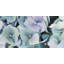 Hydrangea Plant Print On Canvas-98694283
