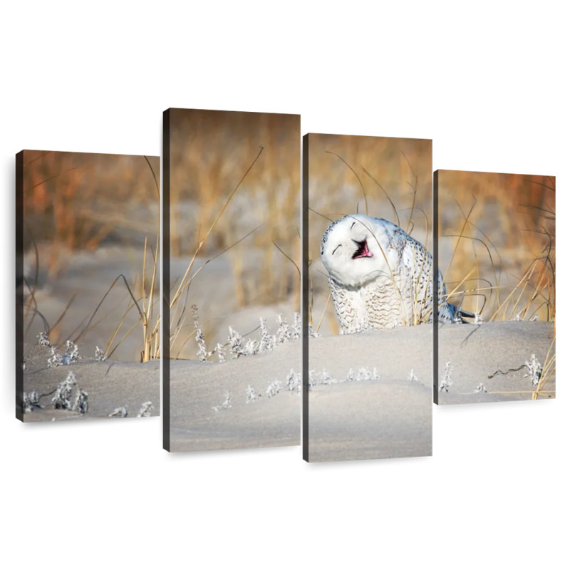 Chouette des neiges Brampt, H 42 po x l 68 po