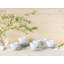 Valencia Piece Porcelain Dinnerware Set - Service for 6