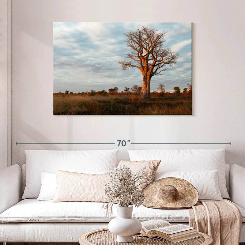 Baobab zambien Harnek, H 30 po x l 45 po