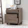Jaie 22'' Wide 2 -Drawer File Cabinet