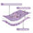 3-Piece Antique Rose Floral Quilt Set Lightweight Soft Microfiber Coverlet with Pillowcases for All Seasons-123121921-123121923
