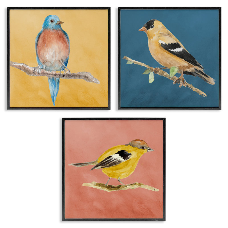 «Brilliant Birds on Branches», ensemble de 3 giclées par Lanie Loreth, H 12 po x l 12 po, Giclée encadrée noir minuit