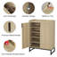 Armoire de rangement pour chaussures Hauge-101136841
