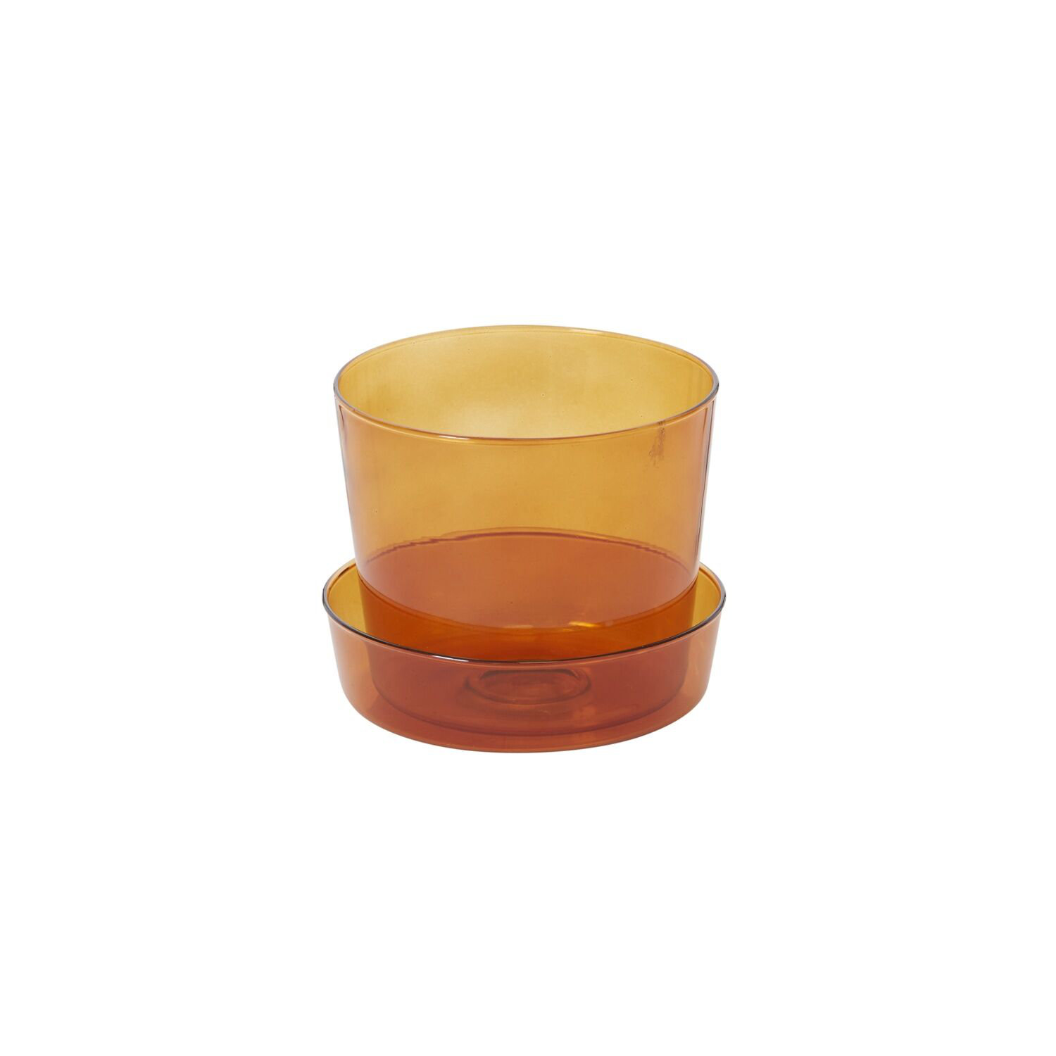 Wrought Studio™ Glass Pot with Saucer | Wayfair