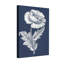 Plantes et fleurs, coquelicot, impression botanique sur toile
