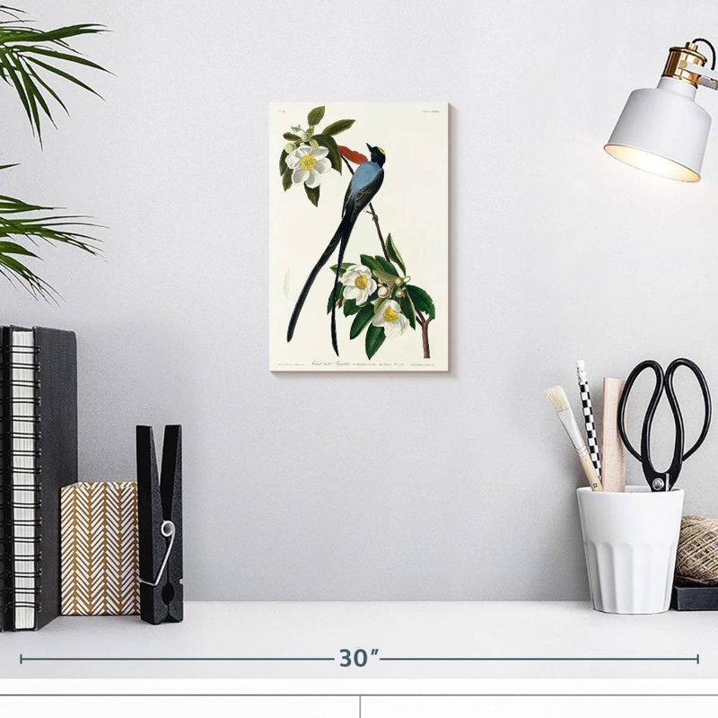 Brampt Fork-Tailed Flycatcher, 12" H x 8" W