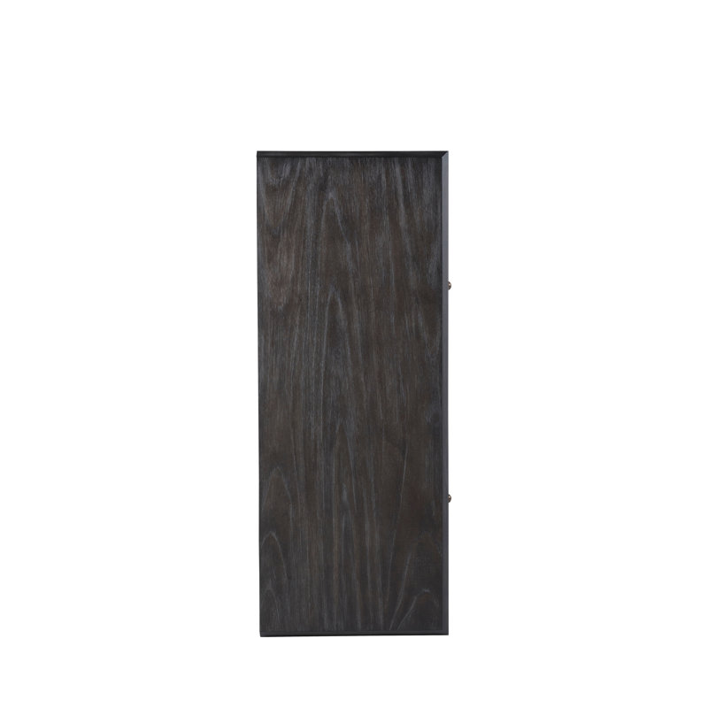 Ezekiel 2 - Door Accent Cabinet, Cerused Forest Black