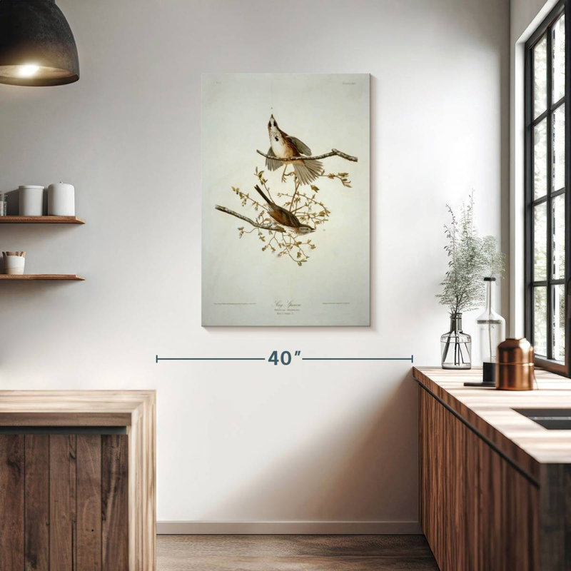 Bruant chanteur des oiseaux d'Amérique, H 39 po x l 26 po