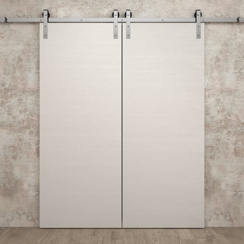 Porte de grange double moderne | Ego 5000 | Ensemble de rail argenté | Portes intérieures solides, Chêne blanc peint