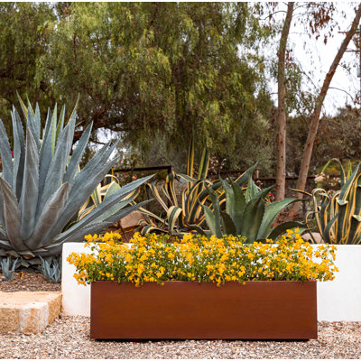 Jardinière en forme de boîte longue en acier Corten