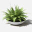 Pot à fleurs Pure Series Lane-1299484470-1208986578-1281804845