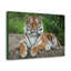 Art de tigre sibérien majestueux-133996461